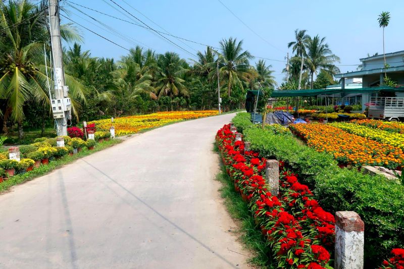 Đường dẫn vào Làng hoa giấy Phú Sơn Bến Tre được bao quanh bởi những vườn hoa kiểng bạt ngàn mang đến khung cảnh vừa đẹp ngất ngây lại đầy thơ mộng